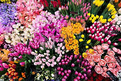 造成恶劣影响 出轨外国电竞选手Zeus女生拟遭学校开除